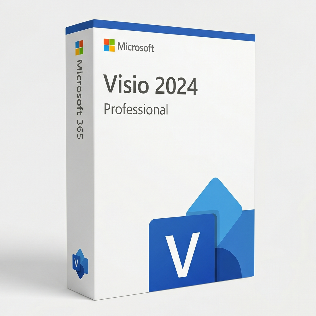 Microsoft Visio 2024 Professional software package on a white background