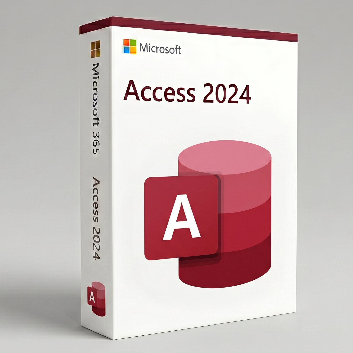 Microsoft Access 2024 software package on a gray background